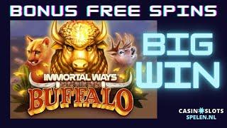 Immortal Ways Buffalo | bonus free spins (BIG WIN!)