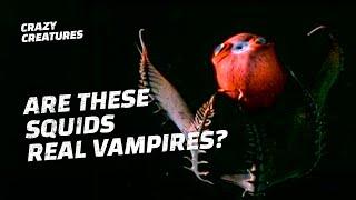 Are Vampire Squids Really Blood-Sucking Monsters?