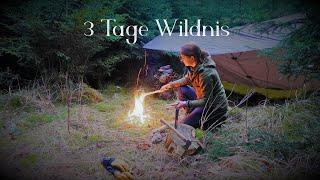 ️Winterbushcraft 3Tage quer durch die Wälder Vanessa Blank - Teil 1