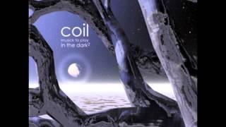 Coil - Musick to Play in the Dark Vol. 2 (Full Album)