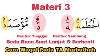 Cara Waqaf (Berhenti) Pada TA Marbuthah, Beda Saat Waqaf dan Washol, Lengkap Contoh dan Prakteknya