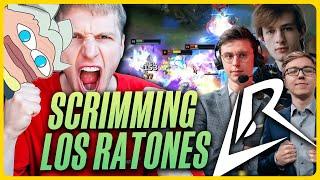 WE SCRIMMED THE LOS RATONES ft Drututt, Caedrel,Nemesis,Baus