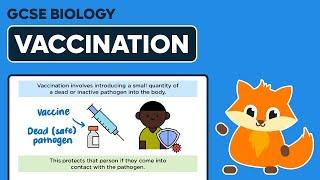 Vaccination - GCSE Biology