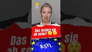  WEIDEL BRANDNEU  #weidel #politik #afd #bundestag #spd #alternativefürdeutschland #merz #scholz