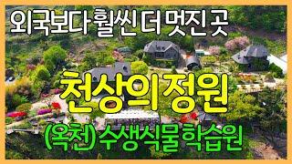 천상의 정원, 수생식물 학습원 / 충북 옥천 | 유럽풍의 멋진 건축물과 세상에서 제일 작은 교회당, 호수위의 카페 등이 대청호와 어우러진 풍경