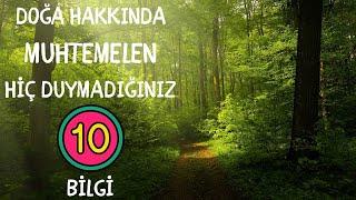 DOĞA HAKKINDA HİÇ DUYMADIĞINIZ 10 BİLGİ #doğa #doğalyaşam #doğadan #doğayasaygı #doğalgüzellik