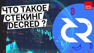 Что такое стекинг криптовалюты Decred ?