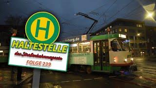 Haltestelle - Straßenbahnmagazin | Ausgabe 239