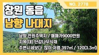 창원동읍 소형 나대지, 현 단감나무 식재. 주말농장 추천!  시세보다 많이 저렴한 토지