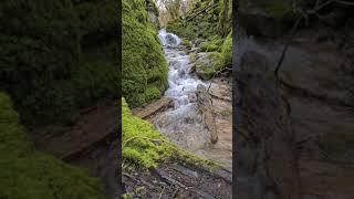 Buxton Derbyshire Flagg Waterfall 2021