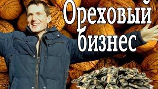 Бизнес на орехах! Доход с 1га 120 000грн. 20-и летние деревья