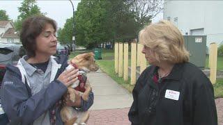 Paws for Love helps comfort those affected by Buffalo mass shooting