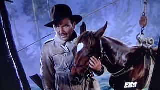 My Friend Flicka - horse saves Preston Foster 1943