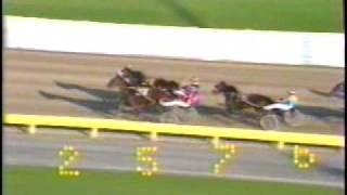 1984 Monticello Raceway  David Glasser Happy Honnika