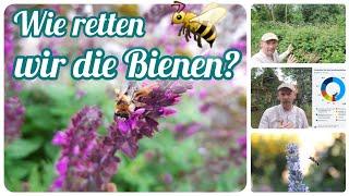 Wie retten wir die Bienen? 