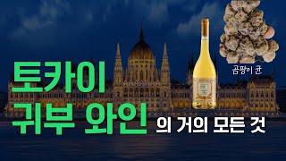 썪은 포도로 만든 최고급 와인 (토카이, 귀부 와인)