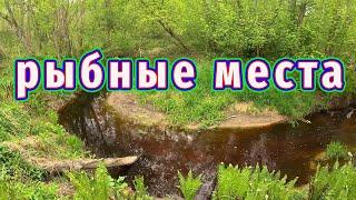 Рыбалка на мощной реке — неожиданный улов!