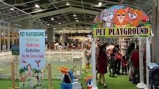 Pet Playground Living World Alam Sutera Tangsel│【宠物游乐园】印尼南丹格朗-生活世界