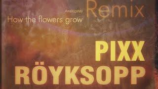 Röyksopp, Pixx How the flowers grow (Analogstøy Remix)