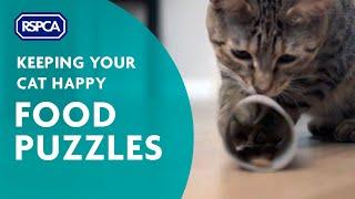 Food Puzzles - Keeping your Cat Happy Ep 2