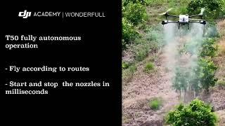 DJI Agras T50 Spraying Orchards | DJI Academy Canada | Wonderfull Inc