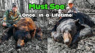 2 GIANT bears Shot 1 HOUR Apart!!! (Boone and Crockett Bear Hunt)
