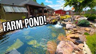 Incredible Hobby Farm Pond