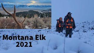 Mike's Montana Bull Elk Hunt 2021