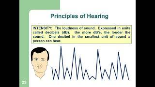 Hearing Protection HSE Presentation for HSE Professionals