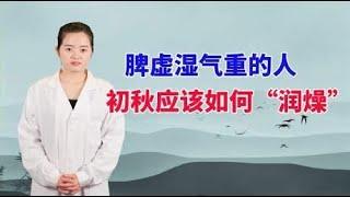 脾虚湿气重的人，初秋应该如何“润燥”？