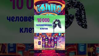 ШОКИРУЮЩИЕ ФАКТЫ О НАШЕМ МИРЕ  #reddit  #интересныефакты  #факты