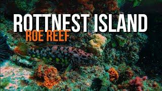 Rottnest Island Roe Reef Tour