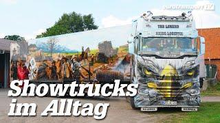 Heide-Logistik: Mehr als nur Showtrucks