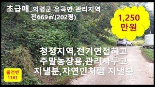 물건번1081, 의령군주말농장 ,1250만원 관리지역 669평방미터(202평) 차량진입가능 전기연접하고 산자락 아레 정말 저렴한 땅