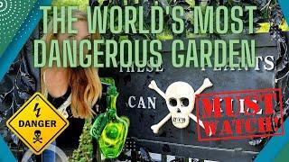 The World's Most Dangerous Garden in The World | The Poison Garden