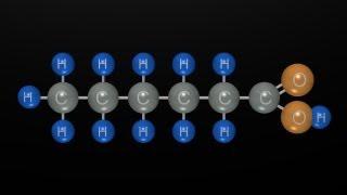 Fat: Part 1 of 4 "Free Fatty Acids and Triglycerides"