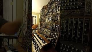 Matt Morton on Moog IIIc Modular Synth