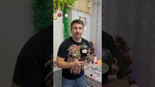 kukuКУХНЯ НАСТОЙКА ЕГЕРМЕЙСТЕР