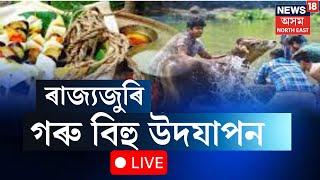 LIVE | Rangali Bihu 2025| আজিৰে পৰা আৰম্ভ  অসমৰ জাতীয় উৎসৱ ৰঙালী বিহু৷ আজি গৰু বিহু ।