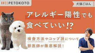 犬の【食物アレルギーテスト】は注意が必要？原因やドッグフードの選び方を獣医師が解説