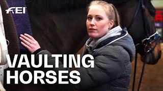 "Our Horses are Athletes as well" | Inside the Vault | Guest Vlog