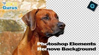 Remove Backgrounds Like a Pro in Photoshop Elements – EASY & FAST!