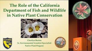 The role of the California Department of Fish and Wildlife in native plant conservation.