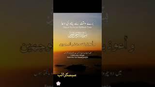 borey waqt se bachney ki duaa. #islamshorts learn i#slam #Quran Arabic #Saudi Arabia #love islam