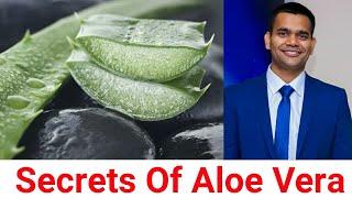 Aloe Vera Juice - Benefits, How Use, Secrets Of Its Function