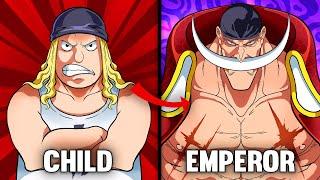 The Complete Story of Whitebeard (One Piece)