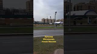 Бульвар Мечникова. Новая Москва. Апрель 2024.