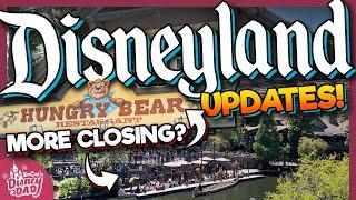 Disneyland Construction Updates & Ride Closures JUNE 2024