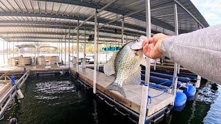 Fall Crappie Fishing Is Getting GOOD!!!