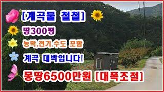 [농막포함] 땅 300평 도로완벽 계곡물철철[물놀이가능] 농막포함 너무 착한매도 몽땅6500만원